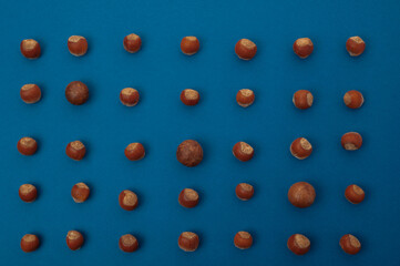 nuts of different sizes are laid out one by one in a row