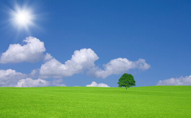 Obraz premium 緑の草原と雲と太陽