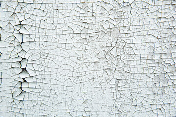 Texture of an old cracked white paint. Background