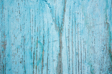 Obraz premium Texture of old boards with blue peeling paint. Texture background 