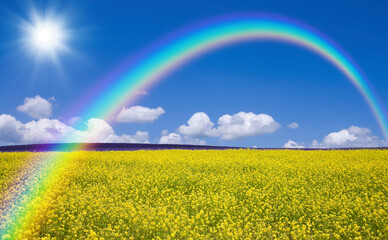黄色い花咲く丘と雲と虹と太陽