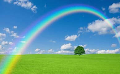 Obraz na płótnie Canvas 草原の一本木と雲と虹