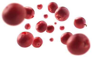 Red cranberry berries levitate on a white background