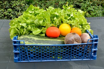Beautiful basket of salads and colored tomatoes