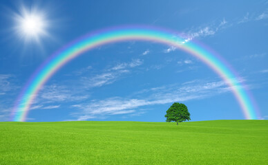 草原の一本木と雲と太陽と虹