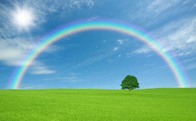 草原の一本木と雲と太陽と虹