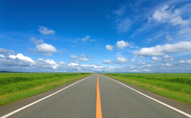 草原の直線道路と雲
