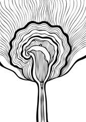 Fototapeta premium Decorative background with Abstract flower Calla black and white in line art Zen tangle or Zen doodle style for coloring page or coloring book or for package or decoration different things 