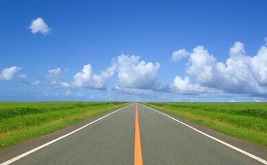 草原の直線道路と雲