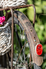 dragonfly on an old bicycle in the garden