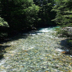 長野県の観光地、上高地の美しい自然の風景