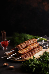 Assorted different types of kebabs: beef, pork, chicken. National Caucasian dish. Close up on dark...