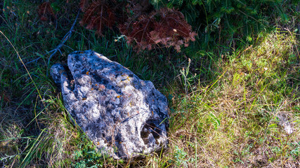 Lungo il sentiero 109 AG da Poggio San Romualdo a Castelletta