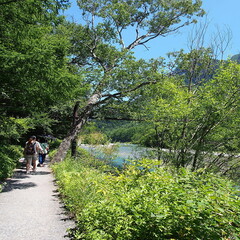 長野県の観光地、上高地の美しい自然の風景