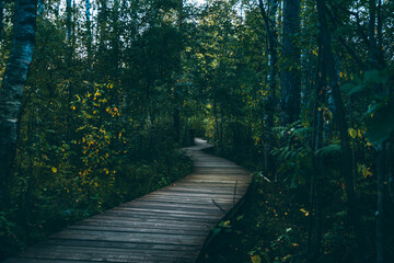 path in the park