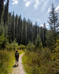 Fototapeta na wymiar hiking in the mountains. forest mountains. mountain trail