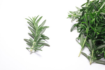 ローズマリーの葉