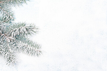 Spruce branch in the snow on a white snow-covered background with a place for copyspace text. New Year 2021, Christmas, for a postcard or a banner in a minimalist style
