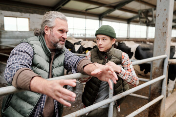 Skilled mature bearded farmer in vest leaning on railing in cowshed and gesturing hands while explaining duties to son