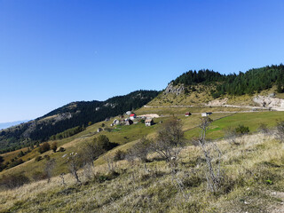 landscape with cows and mountains