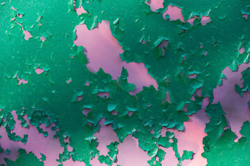 The texture of peeling green paint from pink, as a background, concept. View from above