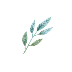 Drawing of a watercolor twig in pastel colors isolated on a white background. Part of the plant.