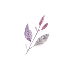 Drawing of a watercolor twig in pastel colors isolated on a white background. Part of the plant.
