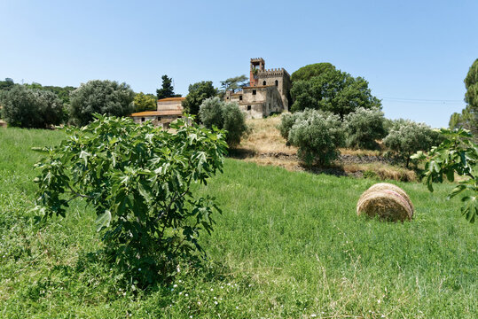 Italien - Toskana - Provinz Livorno bei Piombino