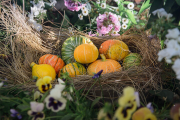 small yellow and green pumpkins are in a wooden box with hay on a background of flowers