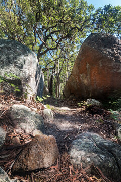 Kincumber Mountain on the NSW Central Coast