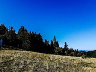 landscape in the mountains