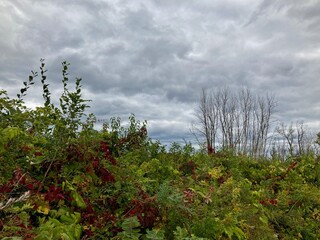 Obraz na płótnie Canvas clouds over the field in autumn