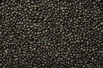 Black Gram or Urad Beans or Mung Beans texture. Vigna Mungo is popular indian cuisine food ingredient.