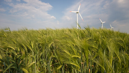 Electricity windmill, clean wind energy