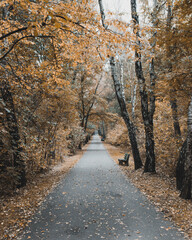 Park jesienną porą