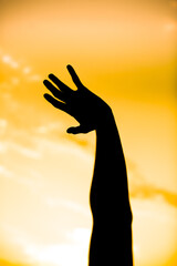 silhouette of a person in the sun