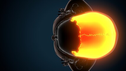 3d illustration of human skeleton skull parietal bone anatomy © PIC4U