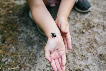 A child holding a beetle in the forest