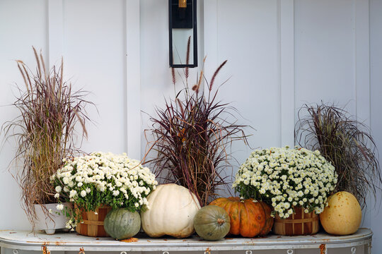 White fall Halloween decorations with pumpkins and plants