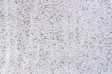 White jersey cotton fabric with black spots texture. Spotted textile background