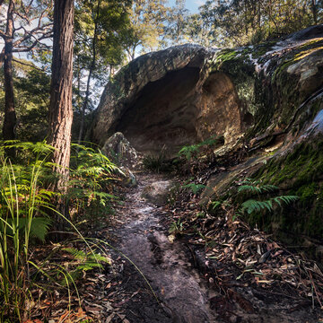 Kincumber Mountain on the NSW Central Coast