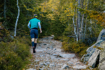 A man jogging in the forest. Sumava national park, Nova Pec, Czech Republic