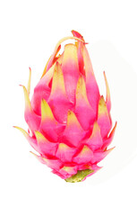 Dragon fruit close-up. Pitahaya isolated on white background
