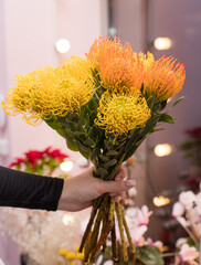 Bouquet of flowers. Ilex and leucospermum. Autumn original bouquet of ilex and leucospermum. Protea nutan.