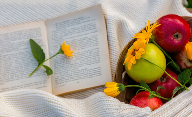 Composition with fresh apples in a basket, an open book and blooming yellow flowers on a light background.