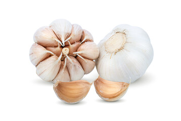 garlic isolated on white background