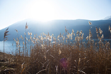 fog in the mountains