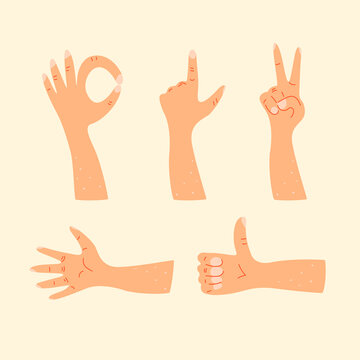 Set of human hands showing different gestures. Counting on fingers, pointing, open hand, gesture all is well, hold, thumbs up. Stock vector illustration in cartoon style isolated on light background