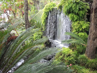 Monte PalaceTropical Garden, Funchal, Madeira
