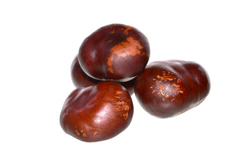 chestnut fruit isolated on white background